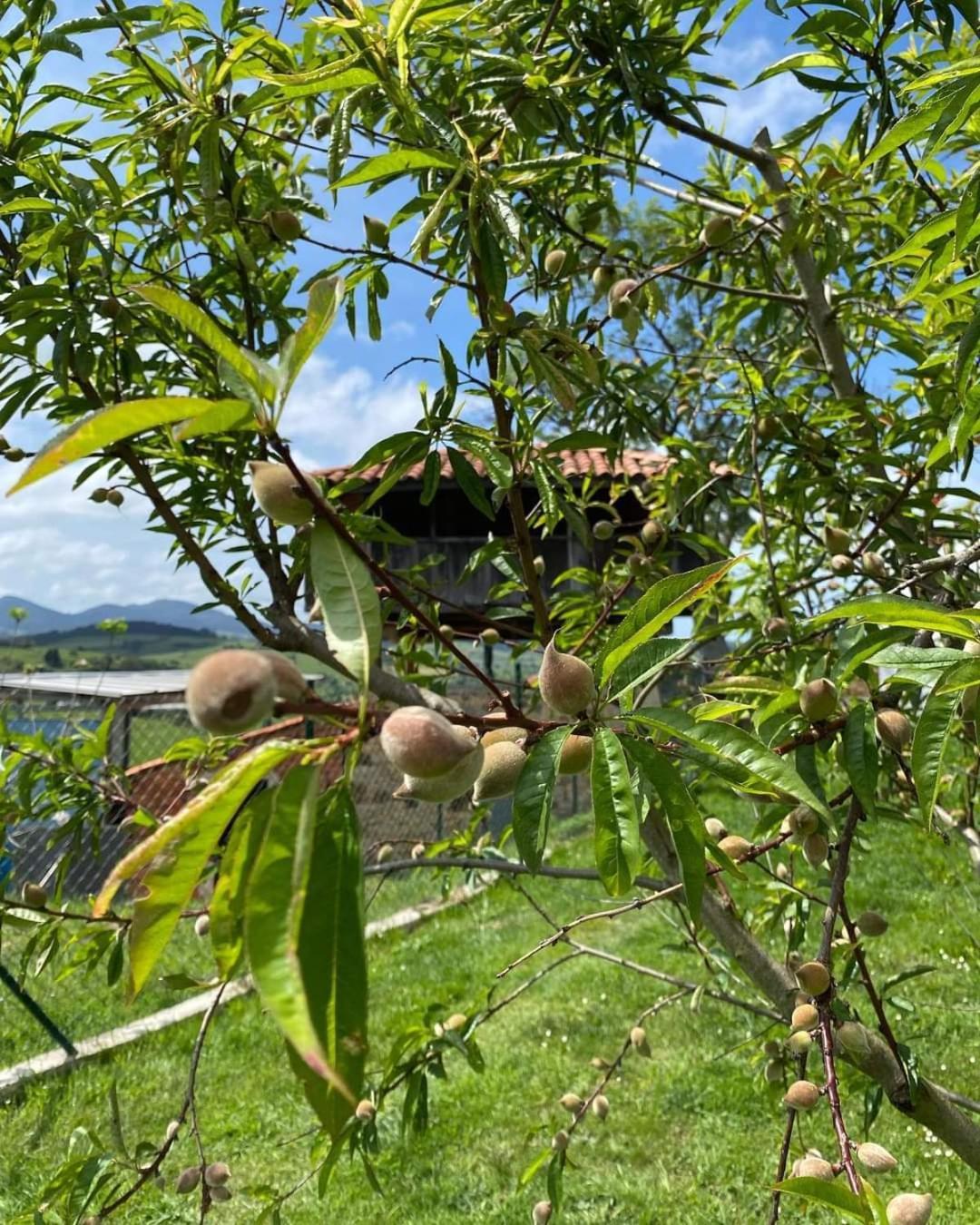 Alvares De Corvera Homestay El Ponton